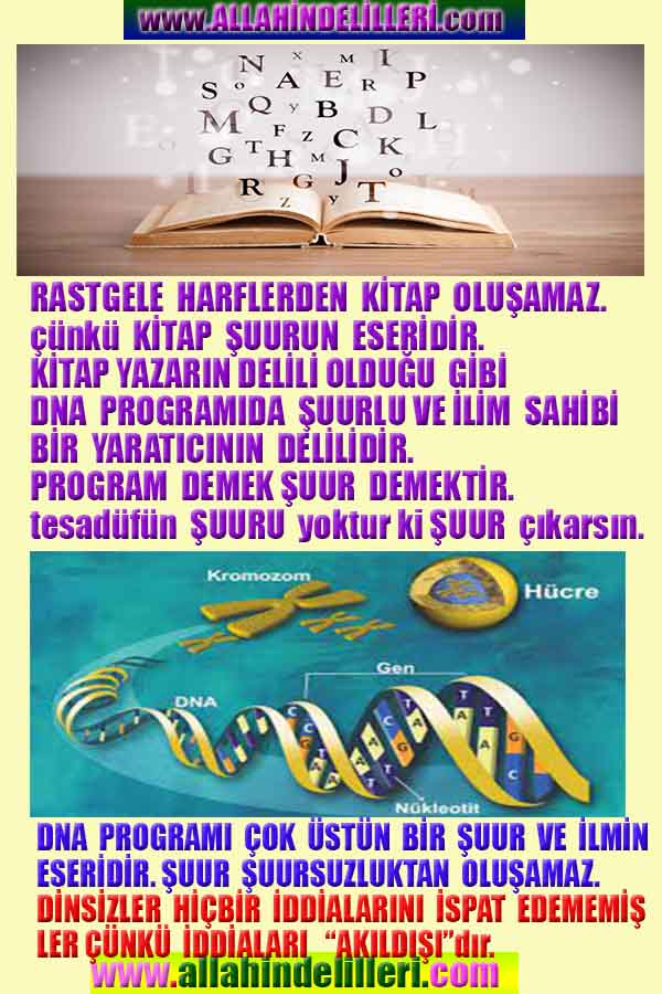 proofs of god, evidences of god