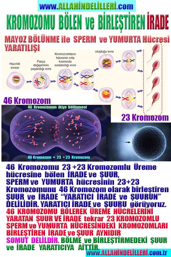 proofs of god, evidences of god