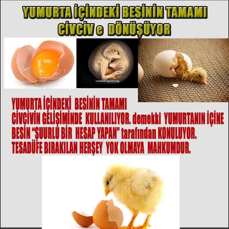 proofs of god, evidences of god